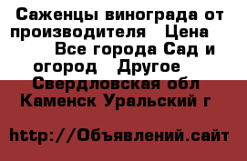 Саженцы винограда от производителя › Цена ­ 800 - Все города Сад и огород » Другое   . Свердловская обл.,Каменск-Уральский г.